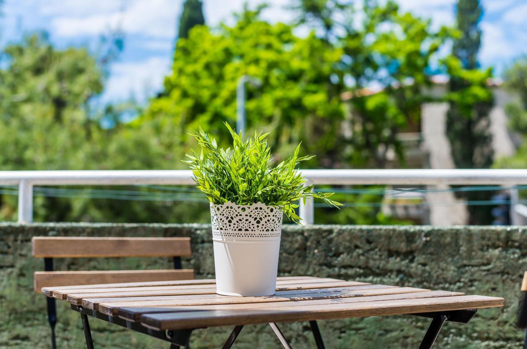 Apartment Leon دوبروفينك المظهر الخارجي الصورة